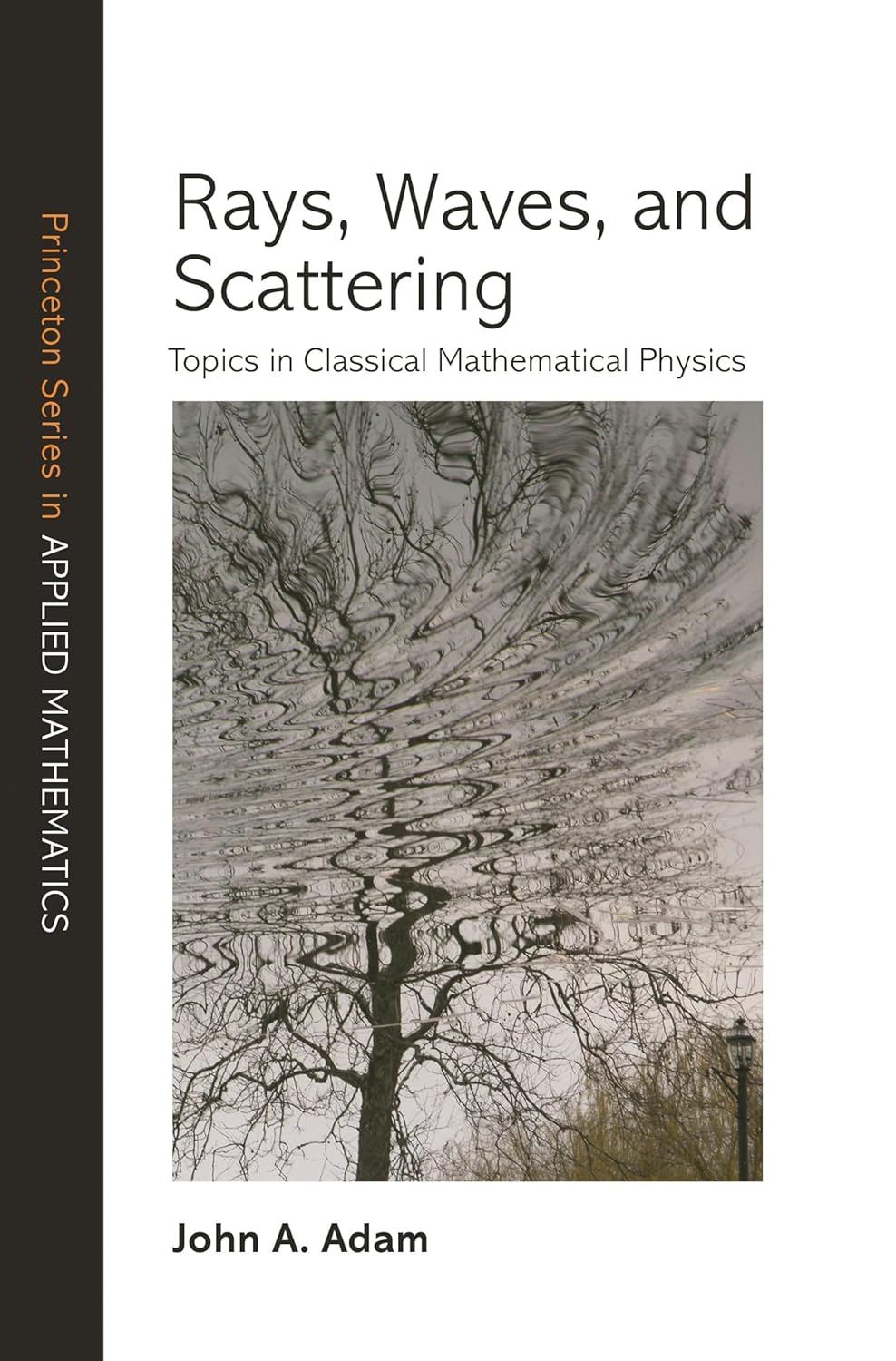 Rays, Waves, and Scattering: Topics in Classical Mathematical Physics
